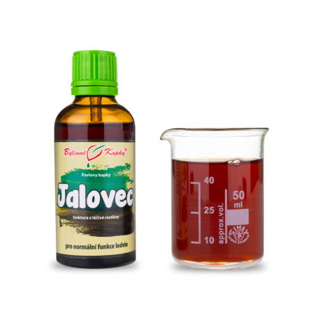 Wacholder-Fruchttropfen (Tinktur) 50 ml