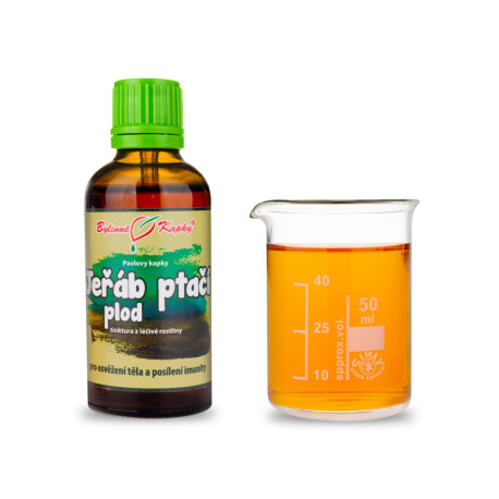 Eberesche Vogel Fruchttropfen (Tinktur) 50 ml