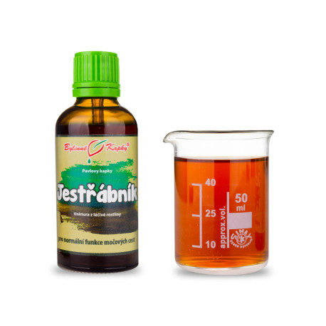 Habichtskraut Tropfen (Tinktur) 50 ml