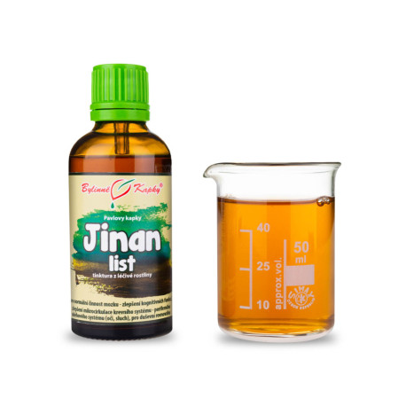 Ginkgo zweilappige Blatttropfen (Tinktur) 50 ml