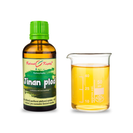 Ginkgo zweilappige Fruchttropfen (Tinktur) 50 ml