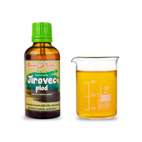 Rosskastanien-Fruchttropfen (Tinktur) 50 ml