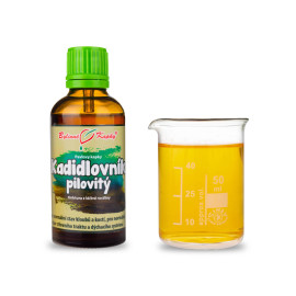 Weihrauch - Olibanum - Boswellia - Tropfen (Tinktur) 50 ml