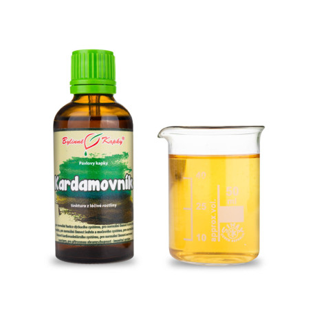 Kardamom Tropfen (Tinktur) 50 ml