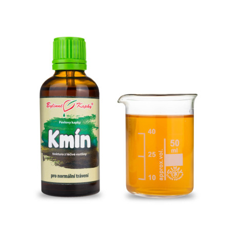 Wiesenkreuzkümmel Tropfen (Tinktur) 50 ml