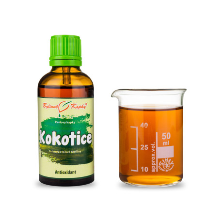 Kokotica Tropfen (Tinktur) 50 ml