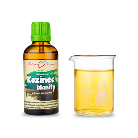 Astragalus membranöse Tropfen (Tinktur) 50 ml