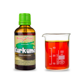 Kurkuma Long Tropfen (Tinktur) 50 ml