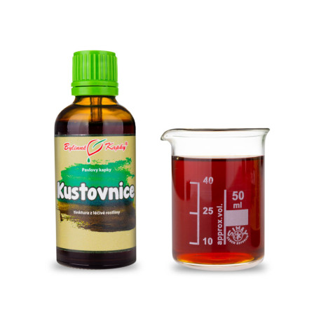 Wolfberry Tropfen (Tinktur) 50 ml