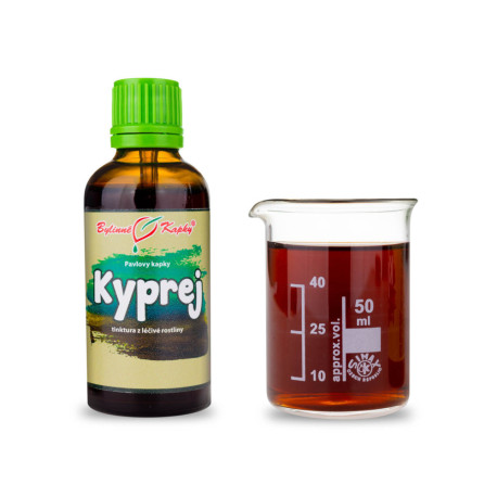 Weidentropfen (Tinktur) 50 ml