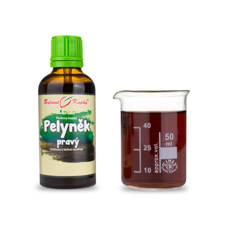 Wermut Tropfen (Tinktur) 50 ml