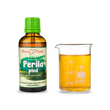 Perilla Busch Fruchttropfen (Tinktur) 50 ml