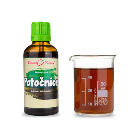 Brunnenkressetropfen (Tinktur) 50 ml