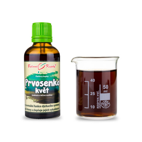 Primel-Frühlingsblütentropfen (Tinktur) 50 ml