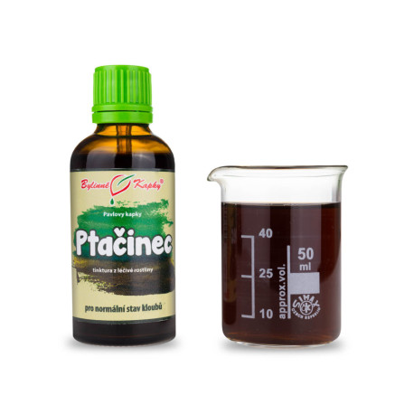 Seestern Middle Drops (Tinktur) 50 ml