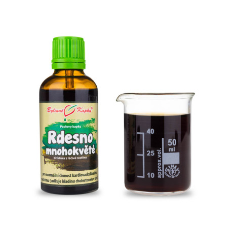 Staudenknöterich Vielblütentropfen (Tinktur) 50 ml
