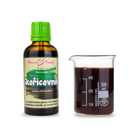 Zimtbaum Chinesische Triebe - Pauls Kräutertropfen (Tinktur) 50 ml