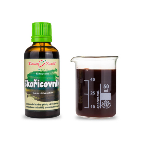 Zimtbaum Chinesische Triebe - Pauls Kräutertropfen (Tinktur) 50 ml