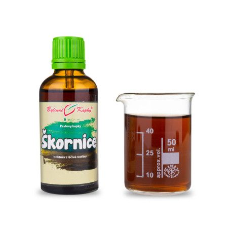 Zimttropfen (Tinktur) 50 ml