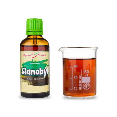 Hügel Sole Tropfen (Tinktur) 50 ml