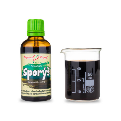 Eisentropfen (Tinktur) 50 ml