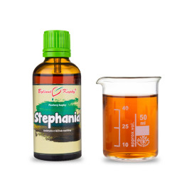 Stephania tetranda Tinktur 50 ml