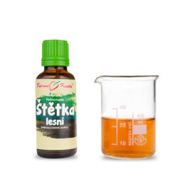 Wald Pinseltropfen (Tinktur) 30 ml
