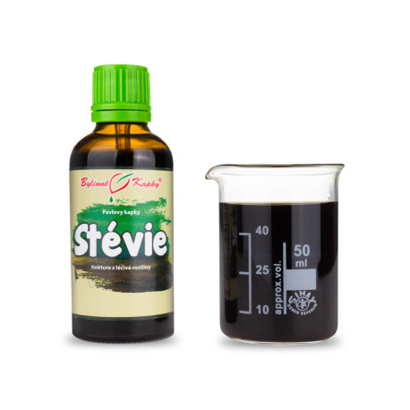 Stevia Zucker Tinktur 50 ml