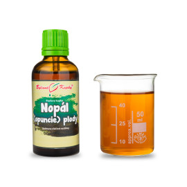 Nopal (Kaktusfeige) Fruchttropfen (Tinktur) 50 ml