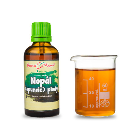 Nopal (Kaktusfeige) Fruchttropfen (Tinktur) 50 ml
