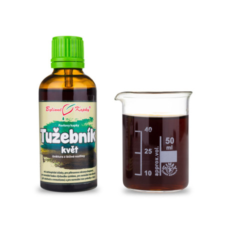 Sehnsüchtige Ulmenblütentropfen (Tinktur) 50 ml