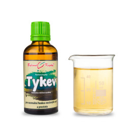 Kürbistropfen (Tinktur) 50 ml