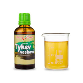 Kürbiswachstropfen (Tinktur) 50 ml