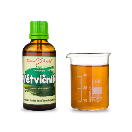 Zweigtropfen (Tinktur) 50 ml