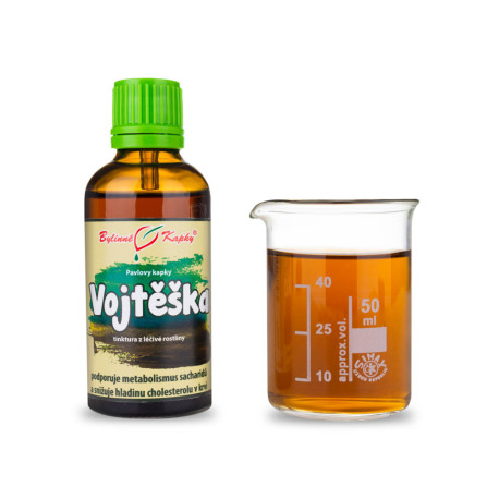 Alfalfa Tropfen (Tinktur) 50 ml