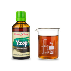 Ysop Tropfen (Tinktur) 50 ml