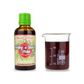Arthristop Tropfen (Tinktur) 50 ml