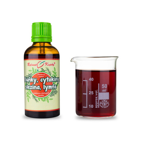 Zellen, Zytokine, Milz, Lymphe (Fledermaus 3) Tropfen (Tinktur) 50 ml