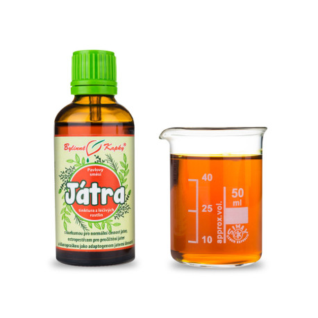 Leberregenerationstropfen (Tinktur) 50 ml