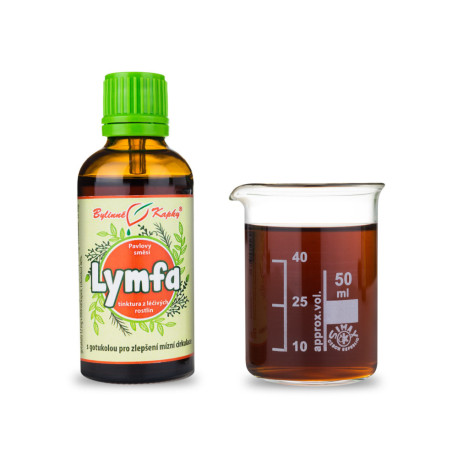 Lymphtropfen (Tinktur) 50 ml