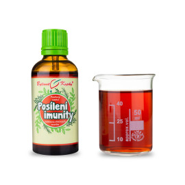 Stärkung der Immunität (Fledermaus 2) Tropfen (Tinktur) 50 ml