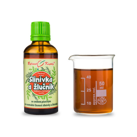 Bauchspeicheldrüse- und Gallenblasentropfen (Tinktur) 50 ml