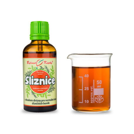 Regeneration von Schleimhauttropfen (Tinktur) 50 ml