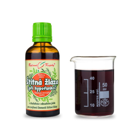 Tropfen zur Schilddrüsenunterfunktion (Tinktur) 50 ml