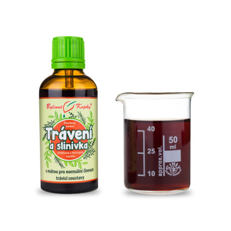 Verdauungs- und Bauchspeicheldrüsentropfen (Tinktur) 50 ml
