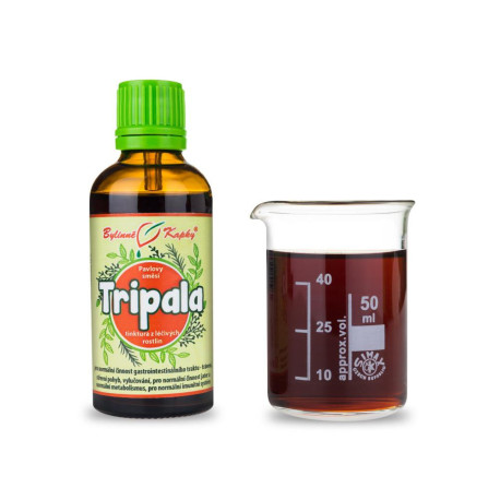 Triphala Tropfen (Tinktur) 50 ml