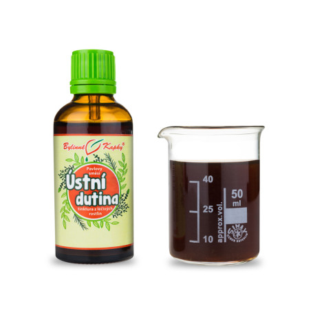 Mundhöhlentropfen (Tinktur) 50 ml
