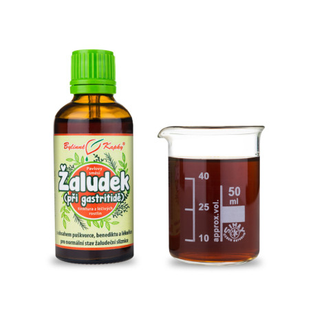 Magentropfen (Tinktur) 50 ml