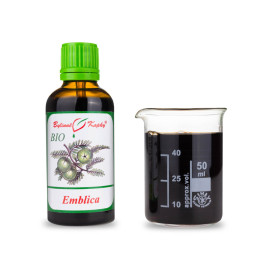 Amalaki BIO Tropfen (Tinktur) 50 ml