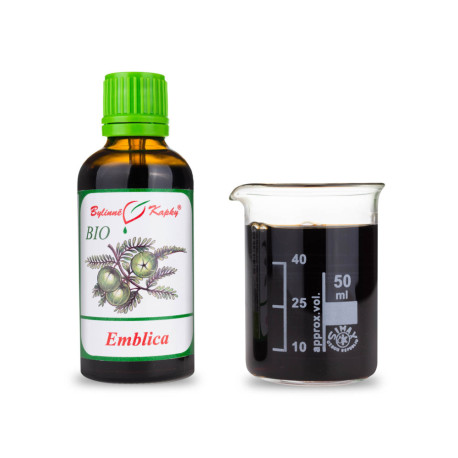 Amalaki BIO Tropfen (Tinktur) 50 ml